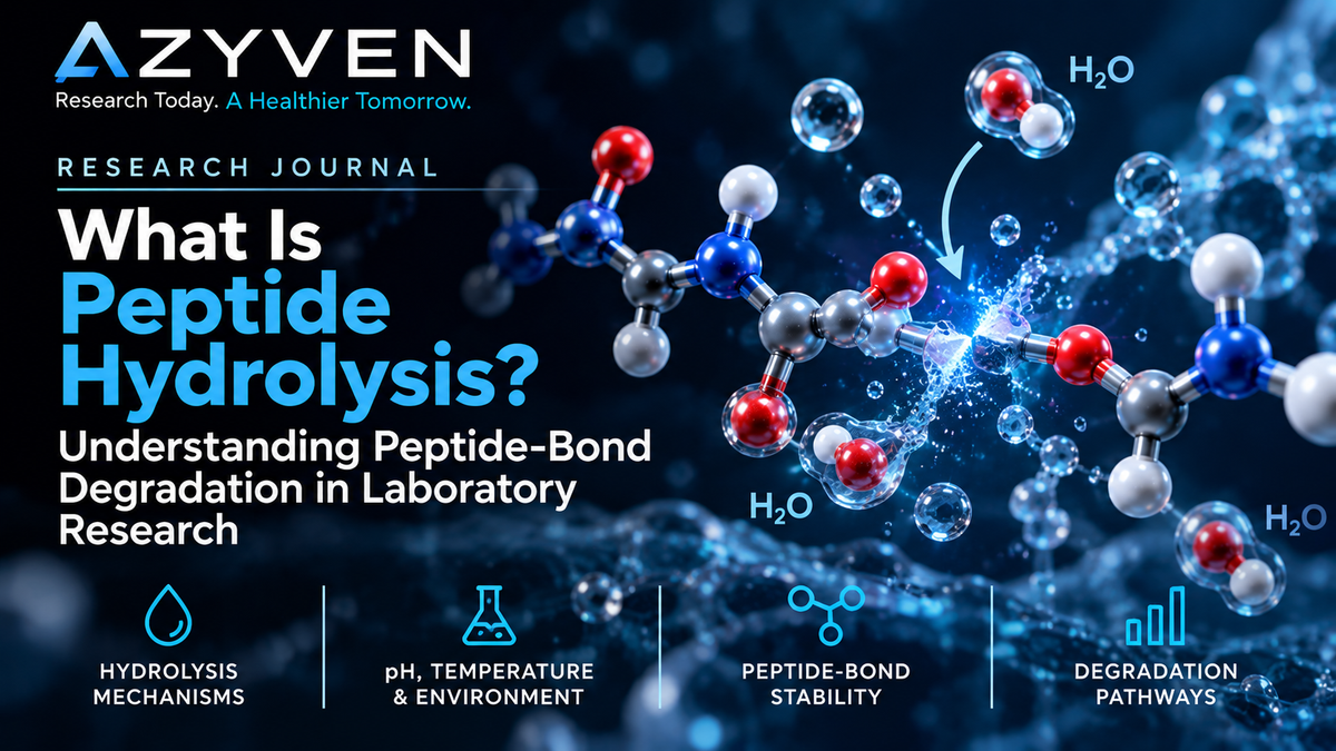Azyven Research Journal: What Is Peptide Hydrolysis? Understanding Peptide-Bond Degradation in Laboratory Research.