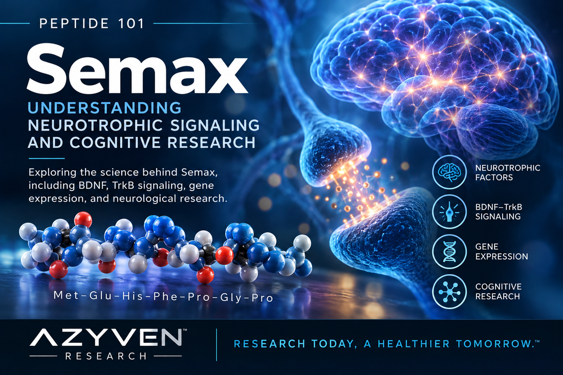 Semax Peptide 101 — neurotrophic signaling and cognitive research