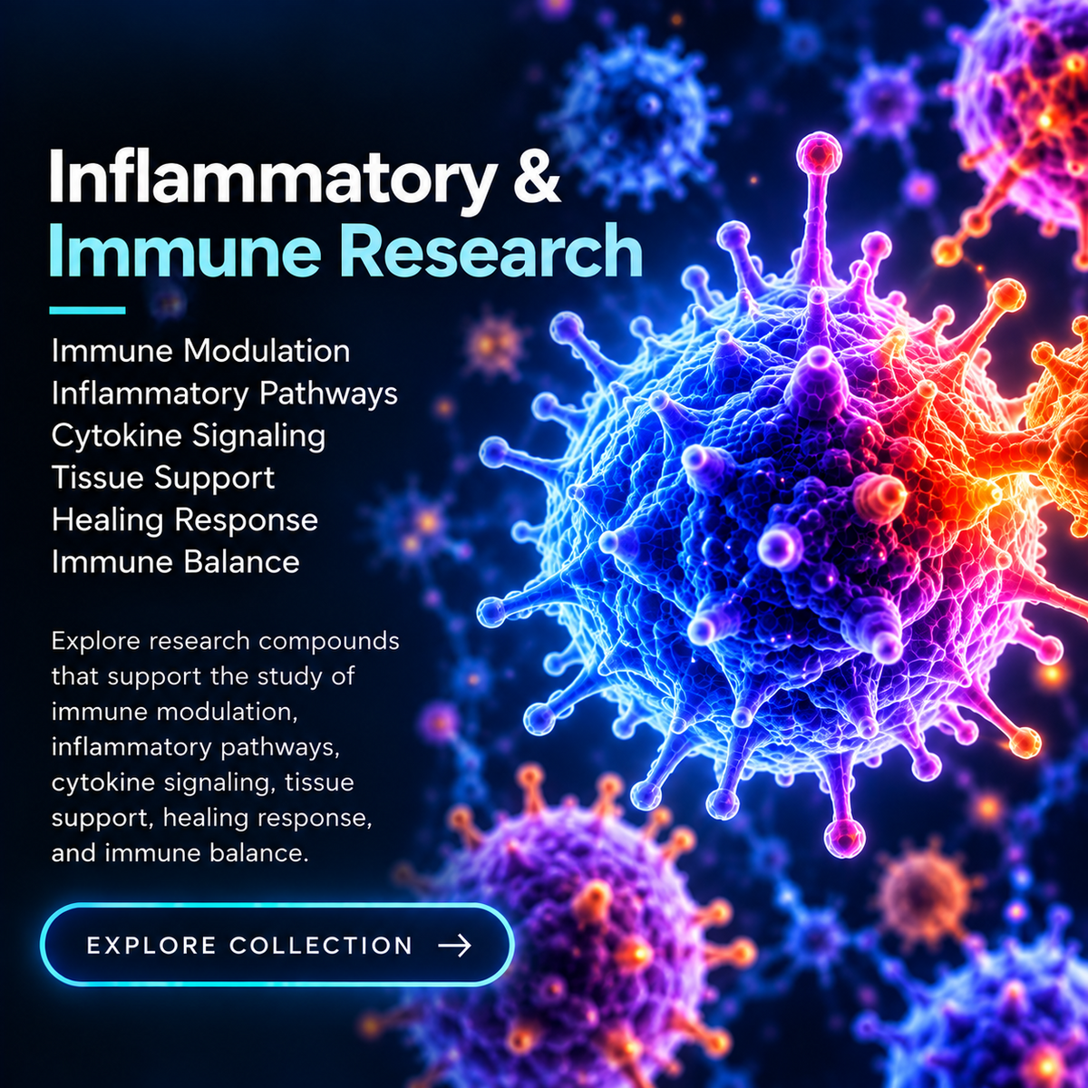 Inflammatory & Immune Research