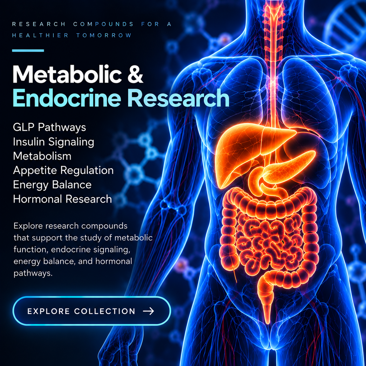 Metabolic & Endocrine Research