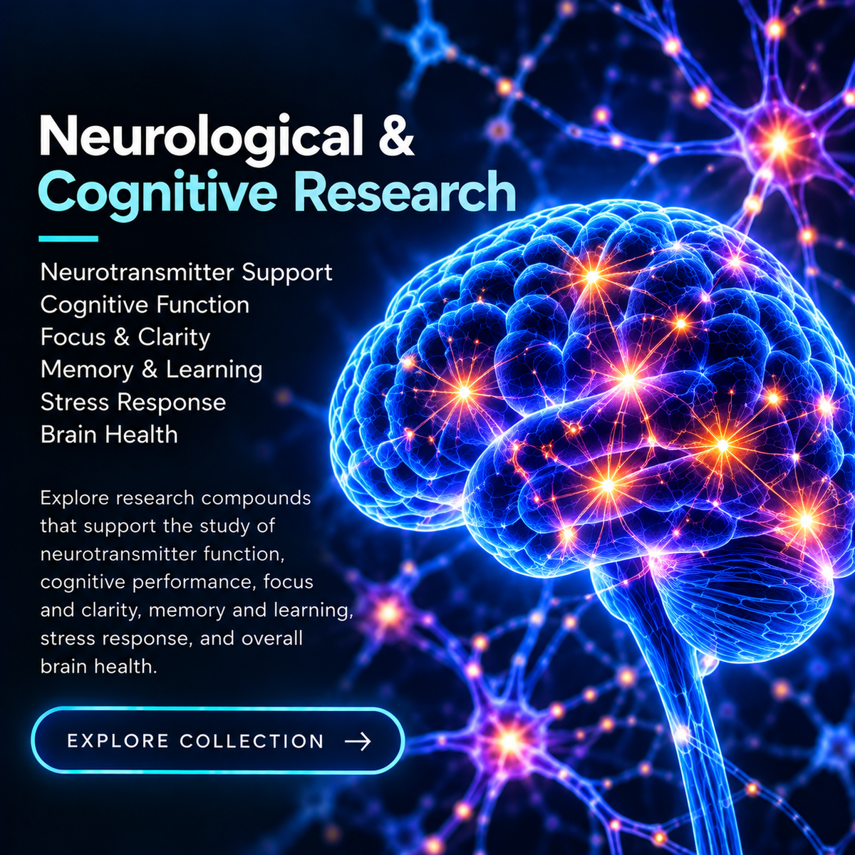 Neurological & Cognitive Research